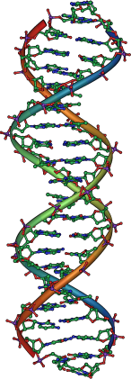 DNA