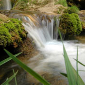 2007-05-13-Resava/misc