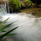 2007-05-13-Resava/misc