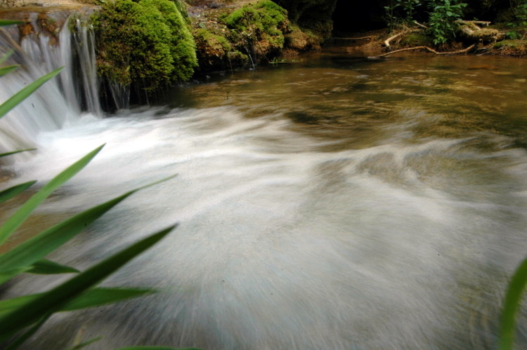 2007-05-13-Resava/misc