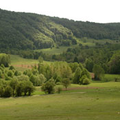 2007-05-13-Resava/resavaCave