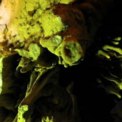 2007-05-13-Resava/resavaCave