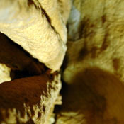 2007-05-13-Resava/resavaCave