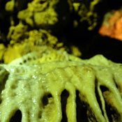 2007-05-13-Resava/resavaCave