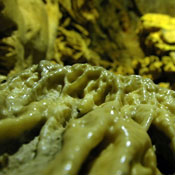 2007-05-13-Resava/resavaCave