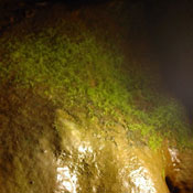 2007-05-13-Resava/resavaCave