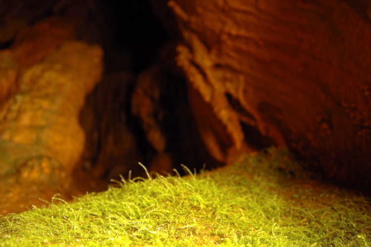 2007-05-13-Resava/resavaCave