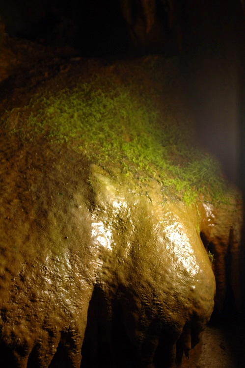 2007-05-13-Resava/resavaCave