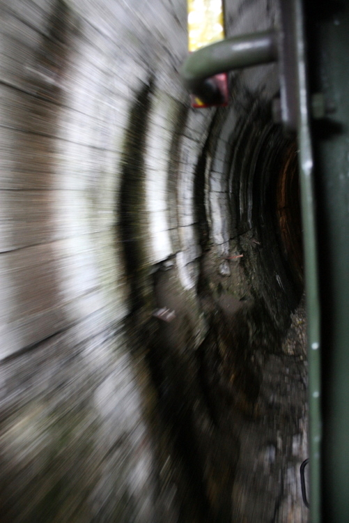 2010-05-29-zlatibor