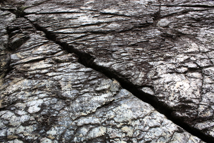 2010-05-29-zlatibor