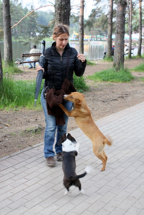 2010-05-29-zlatibor