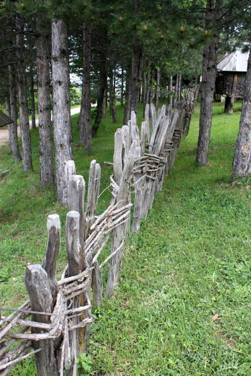 2010-05-29-zlatibor