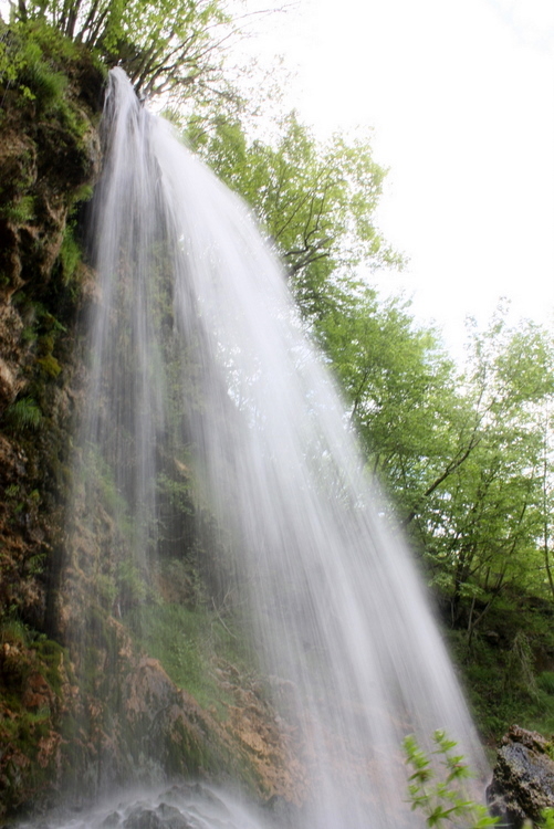 2010-05-29-zlatibor