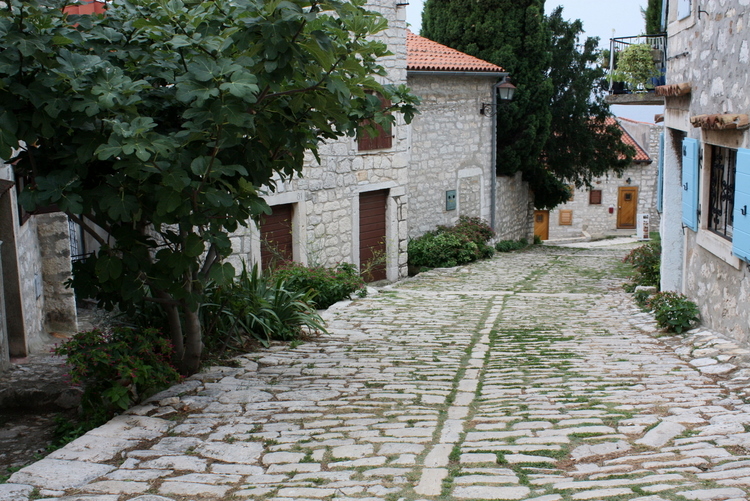 2010-08-Istra