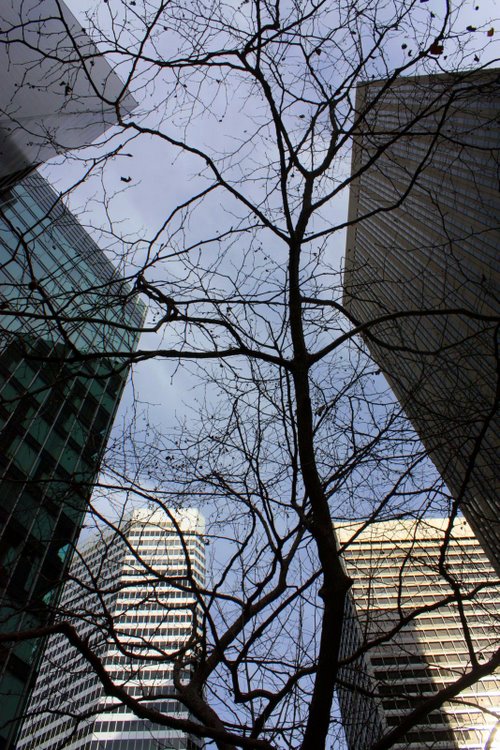 2011-01-sanfrancisco