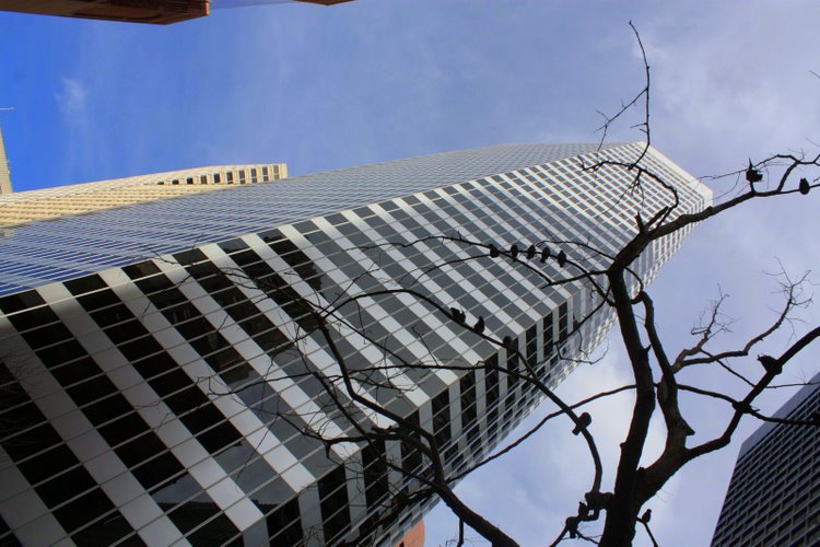 2011-01-sanfrancisco