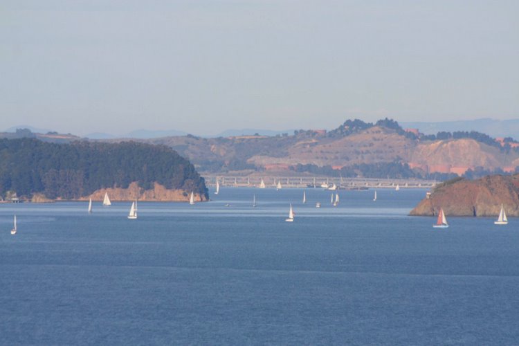 2011-01-sanfrancisco
