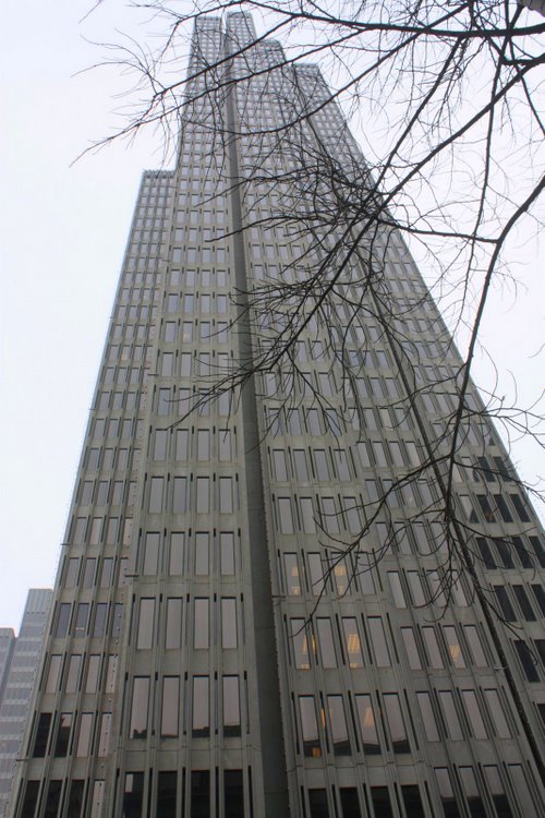2011-01-sanfrancisco