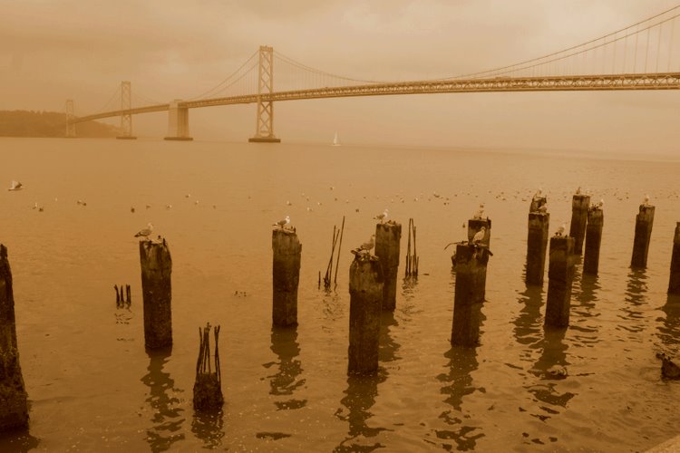 2011-01-sanfrancisco