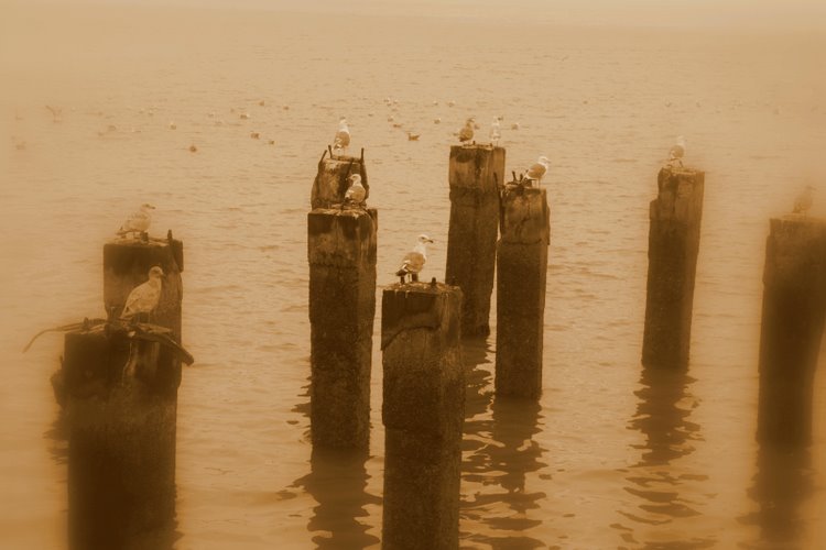 2011-01-sanfrancisco