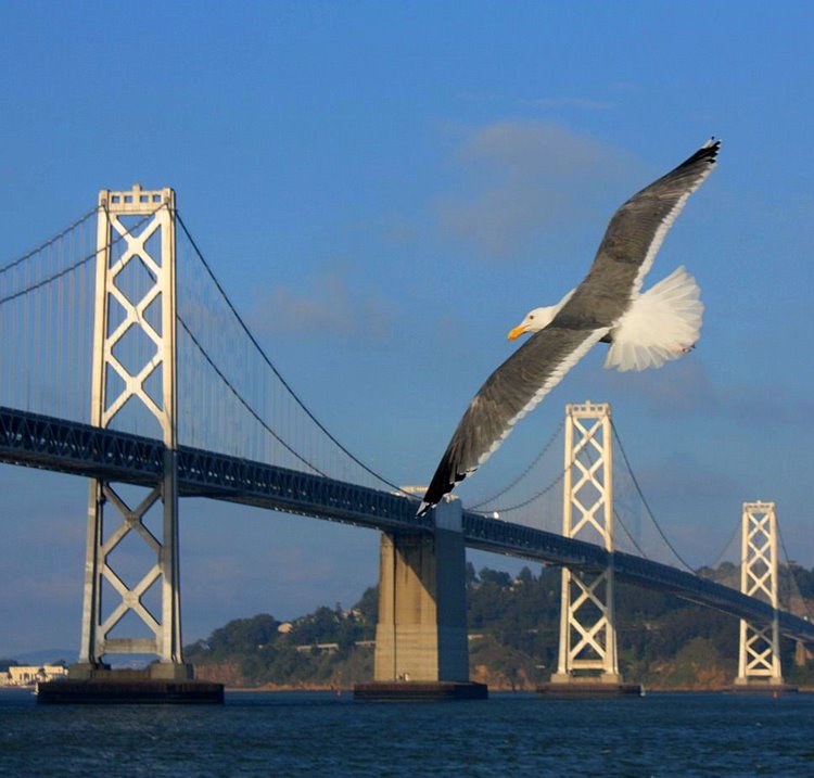 2011-01-sanfrancisco