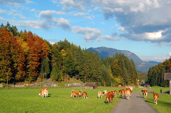 Deutschland2005/GarmischPartenkirchen