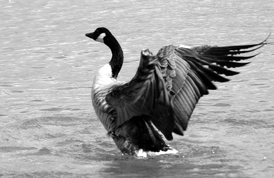 Deutschland2005/StarnbergerSee