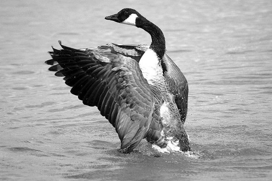 Deutschland2005/StarnbergerSee