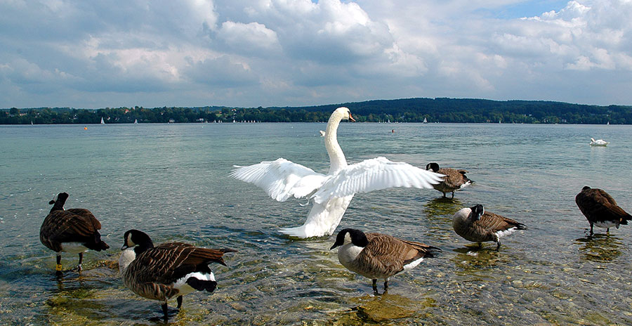 Deutschland2005/StarnbergerSee