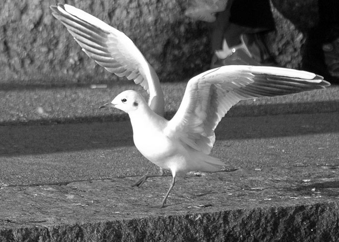 Deutschland2005/StarnbergerSee