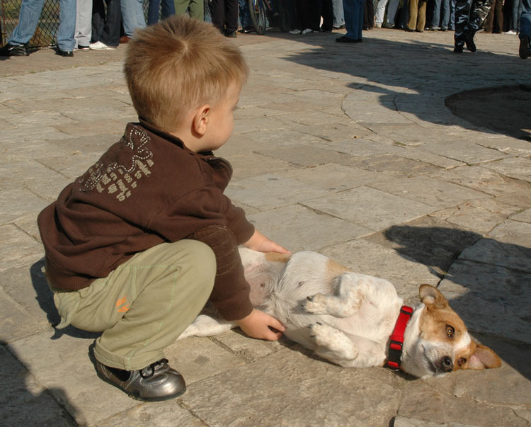 airShow2008