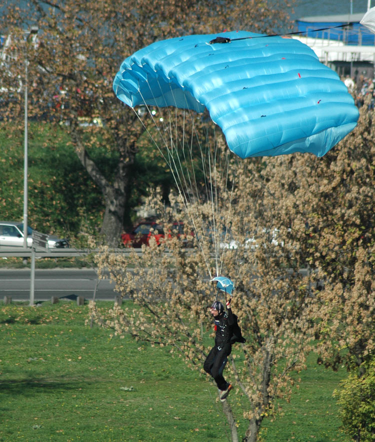 airShow2008