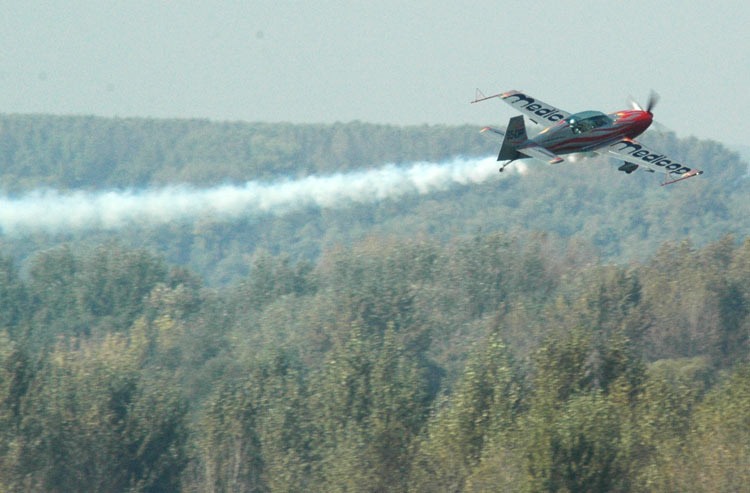 airShow2008