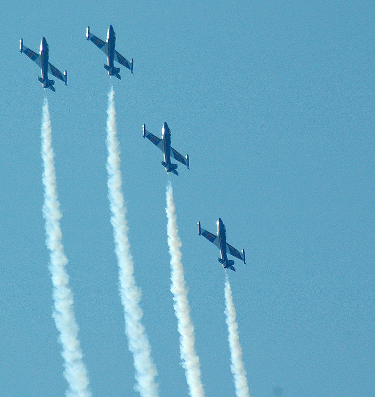 airShow2008