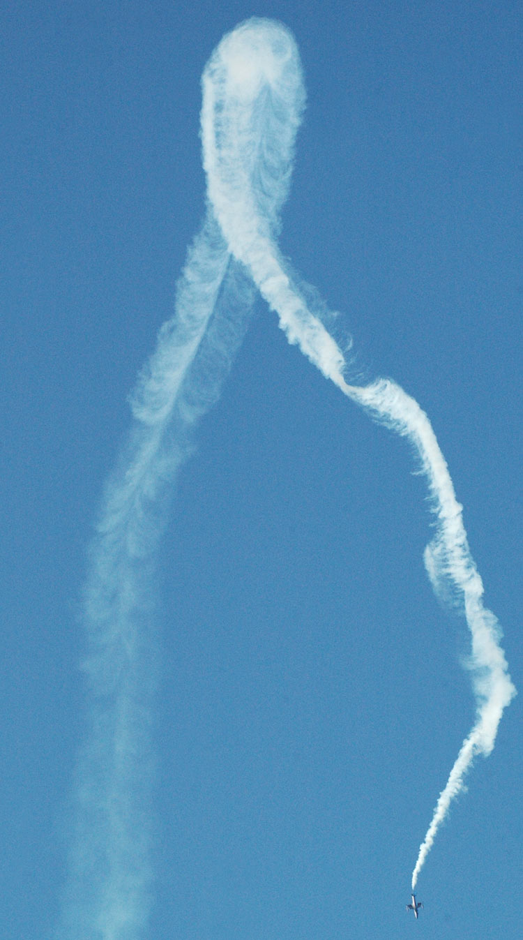 airShow2008