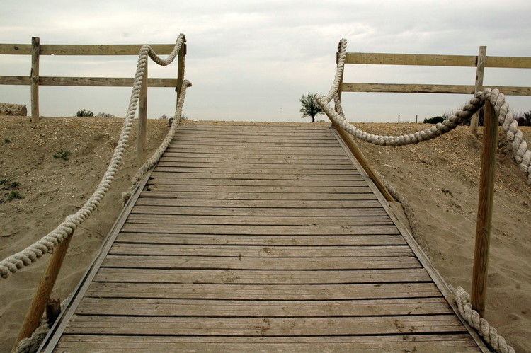 april2007/Camargue