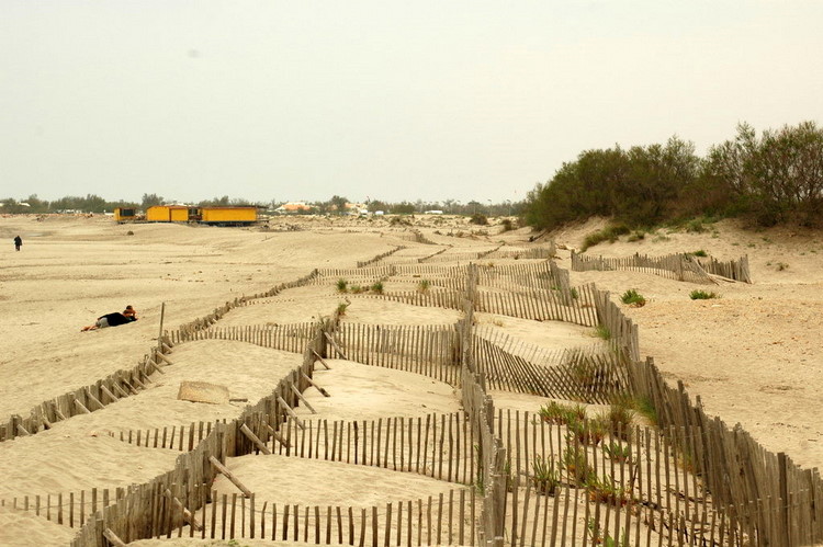 april2007/Camargue