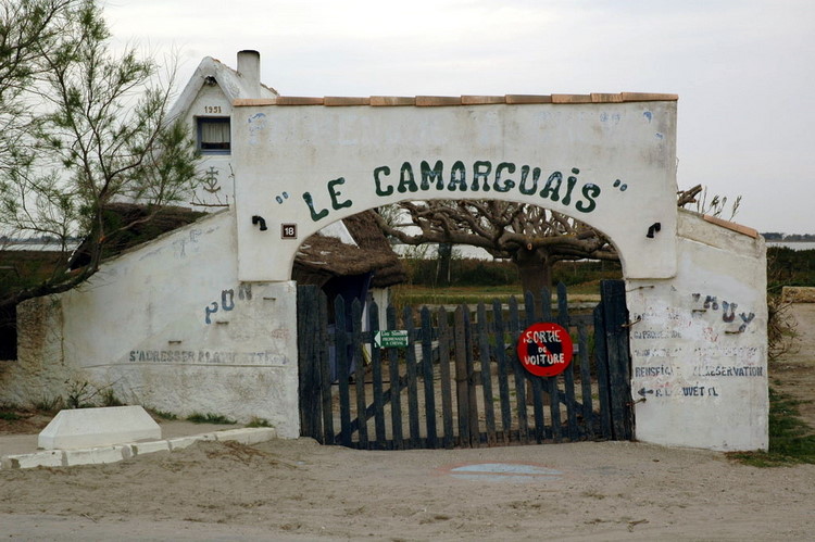 april2007/Camargue
