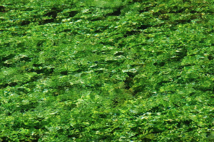 april2007/Fontaine_de_Vaucluse