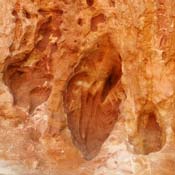 april2007/Roussillon
