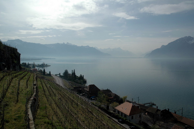 april2007/St_Saphorin