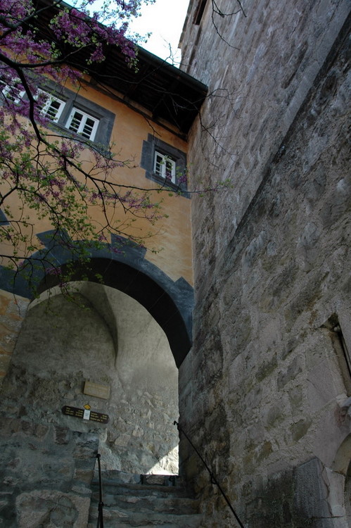 april2007/St_Saphorin