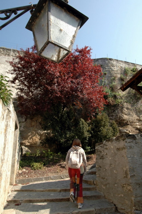 april2007/St_Saphorin