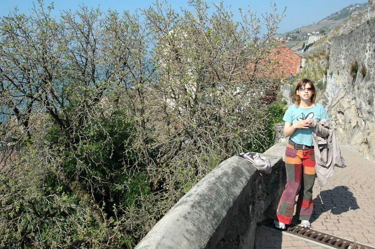 april2007/St_Saphorin