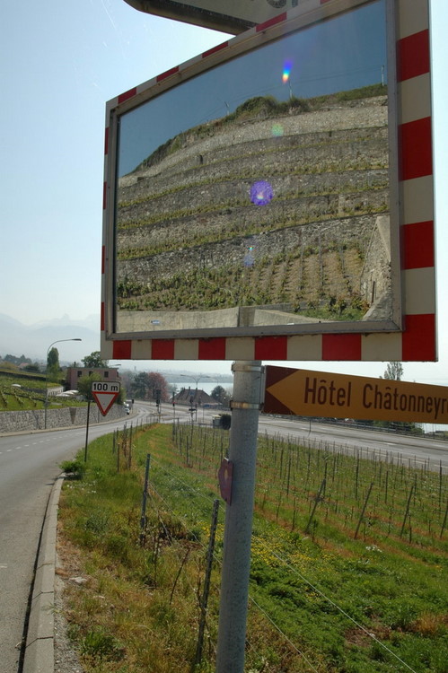 april2007/St_Saphorin