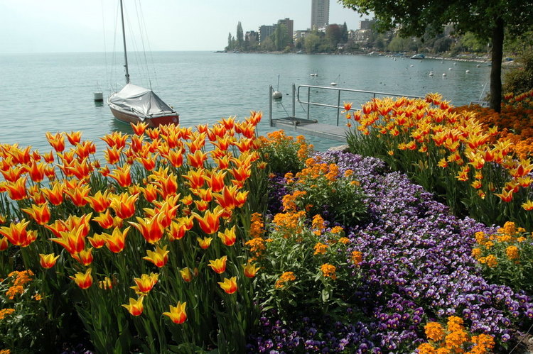 april2007/Vevey_Montreux