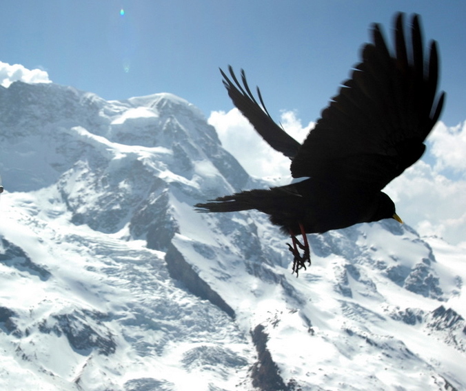 april2007/Zermatt_Gornergrat