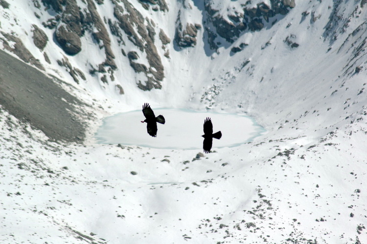 april2007/Zermatt_Gornergrat