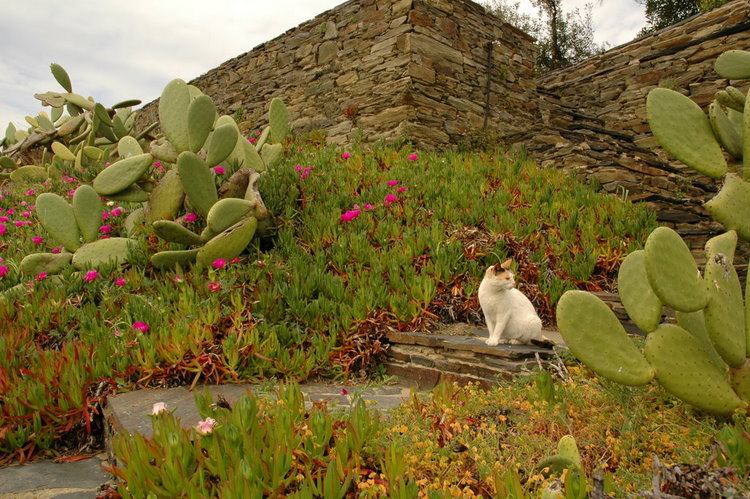 april2007/cadaques_Port_Lligat