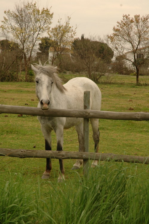 april2007/misc